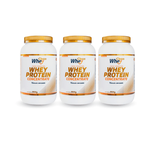 Combo Whey Protein Concentrado Sem Sabor 900g